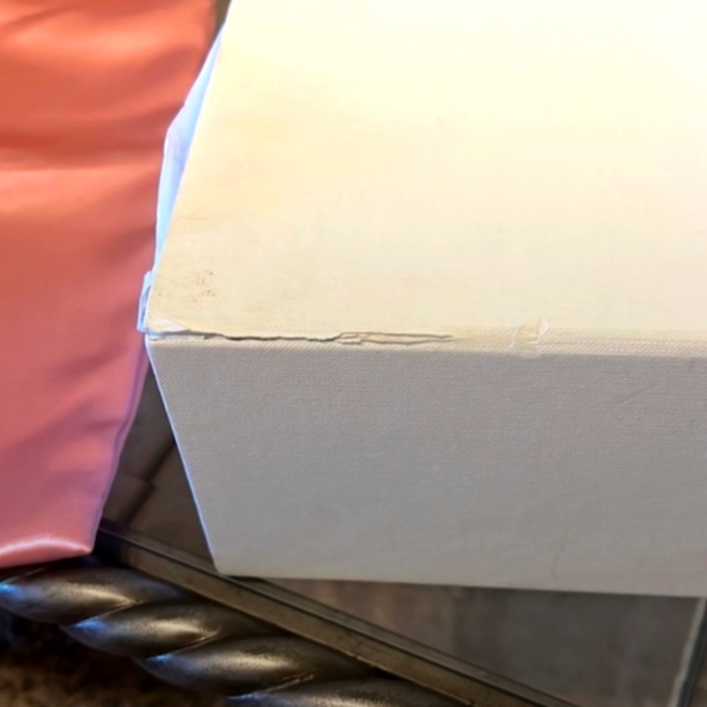 AMINA MUADDI Box, Tissue & Dust/Travel Bag 🩷 - Picture 2 of 9